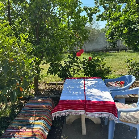 Апартаменты Zefi Шкодер